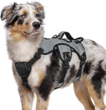 rabbitgoo Escape Proof Dog Harness, Soft Padded Full Body Pet Harness, Reflective Adjustable No Pull Vest with Lift Handle and Lesh Clip for Large Dogs Walking Hiking Training