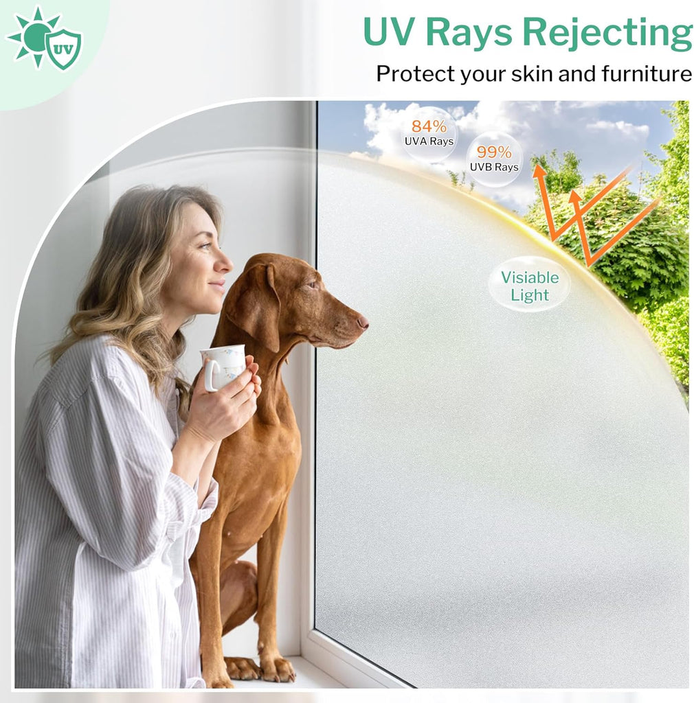 Nouvelles Images Large Repositionable Window Stickers / Decals (69.5 X 49 Cm)