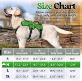 rabbitgoo Escape Proof Dog Harness, Soft Padded Full Body Pet Harness, Reflective Adjustable No Pull Vest with Lift Handle and Lesh Clip for Large Dogs Walking Hiking Training