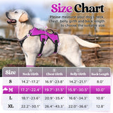rabbitgoo Escape Proof Dog Harness, Soft Padded Full Body Pet Harness, Reflective Adjustable No Pull Vest with Lift Handle and Lesh Clip for Large Dogs Walking Hiking Training