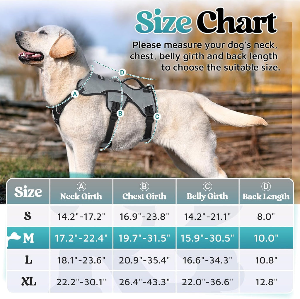 Dogs Girth Best Dog Harness For Large Dogs That Pull Rabbitgoo