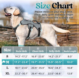 rabbitgoo Escape Proof Dog Harness, Soft Padded Full Body Pet Harness, Reflective Adjustable No Pull Vest with Lift Handle and Lesh Clip for Large Dogs Walking Hiking Training