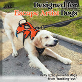 rabbitgoo Escape Proof Dog Harness, Soft Padded Full Body Pet Harness, Reflective Adjustable No Pull Vest with Lift Handle and Lesh Clip for Large Dogs Walking Hiking Training