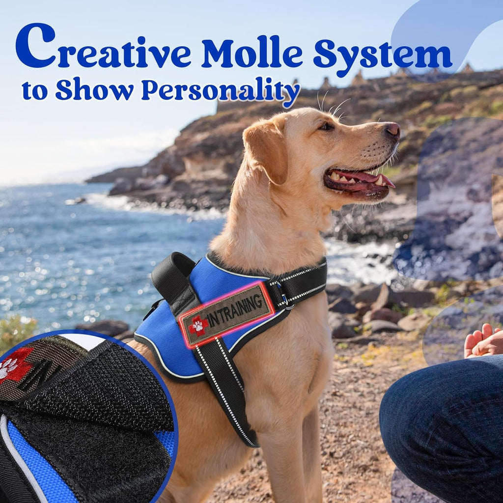 rabbitgoo Dog Harness for Large Dogs Adjustable Dog Vest with Soft Ha pawtrender
