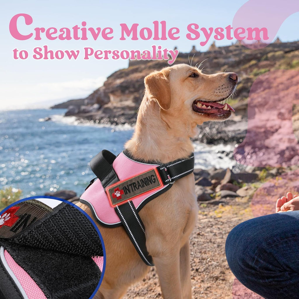 rabbitgoo Dog Harness for Large Dogs Adjustable Dog Vest with Soft Ha pawtrender