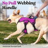 rabbitgoo Escape Proof Dog Harness, Soft Padded Full Body Pet Harness, Reflective Adjustable No Pull Vest with Lift Handle and Lesh Clip for Large Dogs Walking Hiking Training