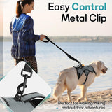 rabbitgoo Escape Proof Dog Harness, Soft Padded Full Body Pet Harness, Reflective Adjustable No Pull Vest with Lift Handle and Lesh Clip for Large Dogs Walking Hiking Training