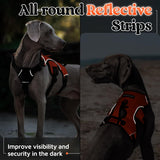 rabbitgoo Escape Proof Dog Harness, Soft Padded Full Body Pet Harness, Reflective Adjustable No Pull Vest with Lift Handle and Lesh Clip for Large Dogs Walking Hiking Training