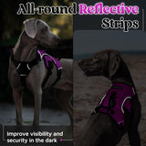 rabbitgoo Escape Proof Dog Harness, Soft Padded Full Body Pet Harness, Reflective Adjustable No Pull Vest with Lift Handle and Lesh Clip for Large Dogs Walking Hiking Training
