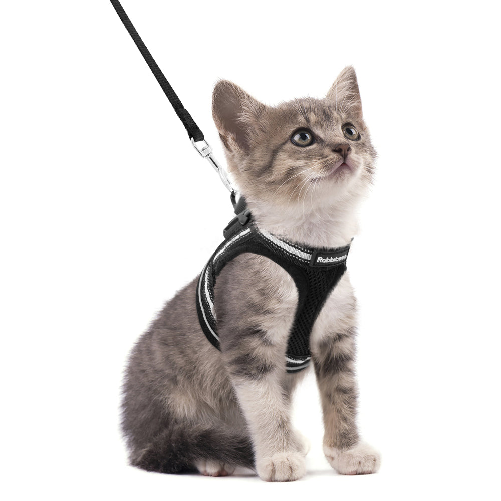 Adjustable Cat Walking Harness & Leash Set - Escape Proof Vest With Reflective Strips - Shop Now!:Pet Supplies